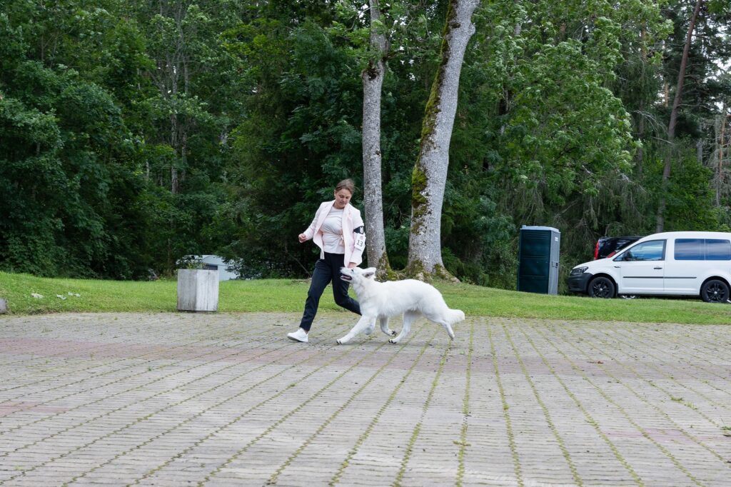 EVLÜ ERINÄITUS 2025 4n1a6593