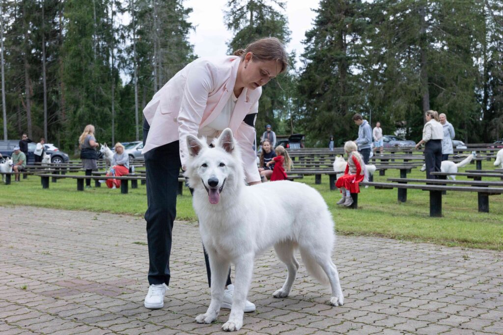 EVLÜ ERINÄITUS 2025 4n1a6636