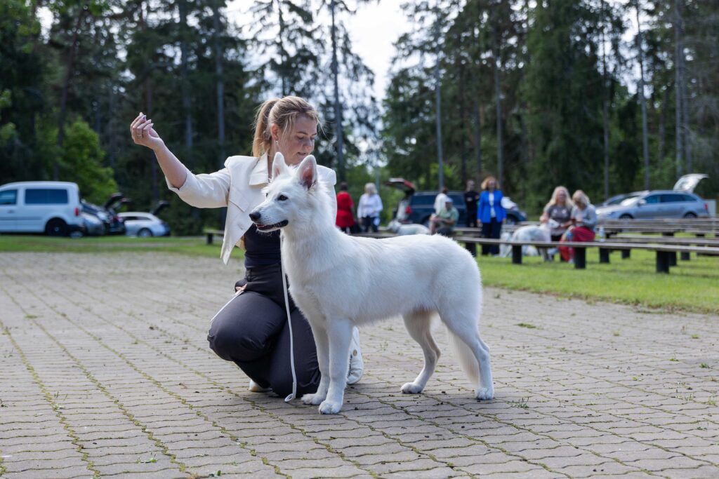 EVLÜ ERINÄITUS 2025 4n1a7012