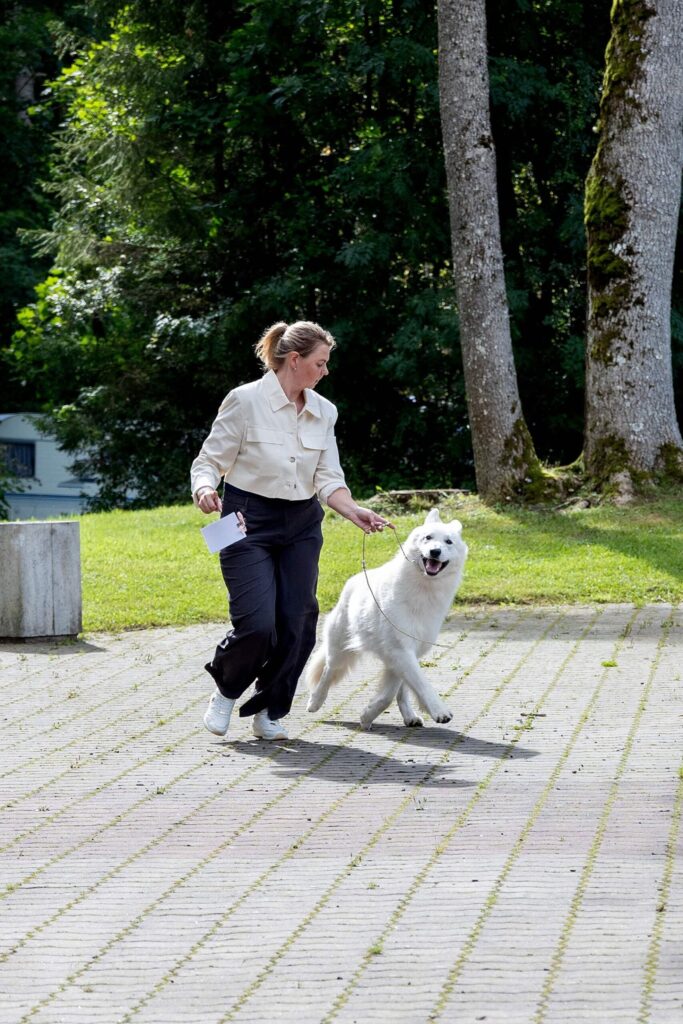 Nyx-On Biale Wilki Z Wilkowa 4n1a7891 1 scaled.jpg