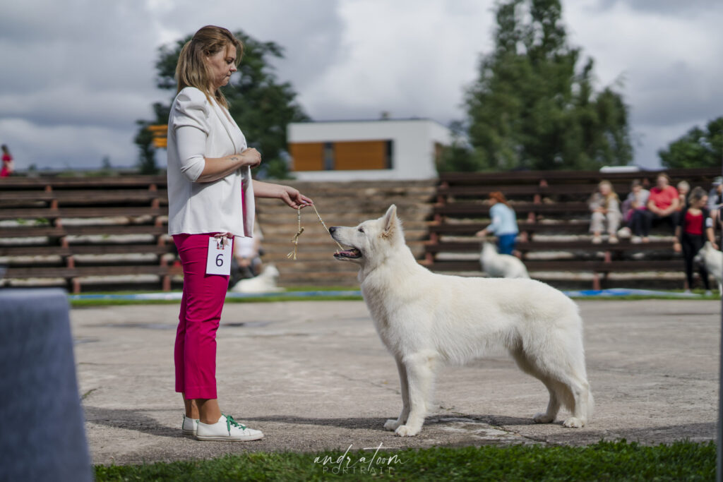 Nyx-On Biale Wilki Z Wilkowa dsc8937 scaled.jpg