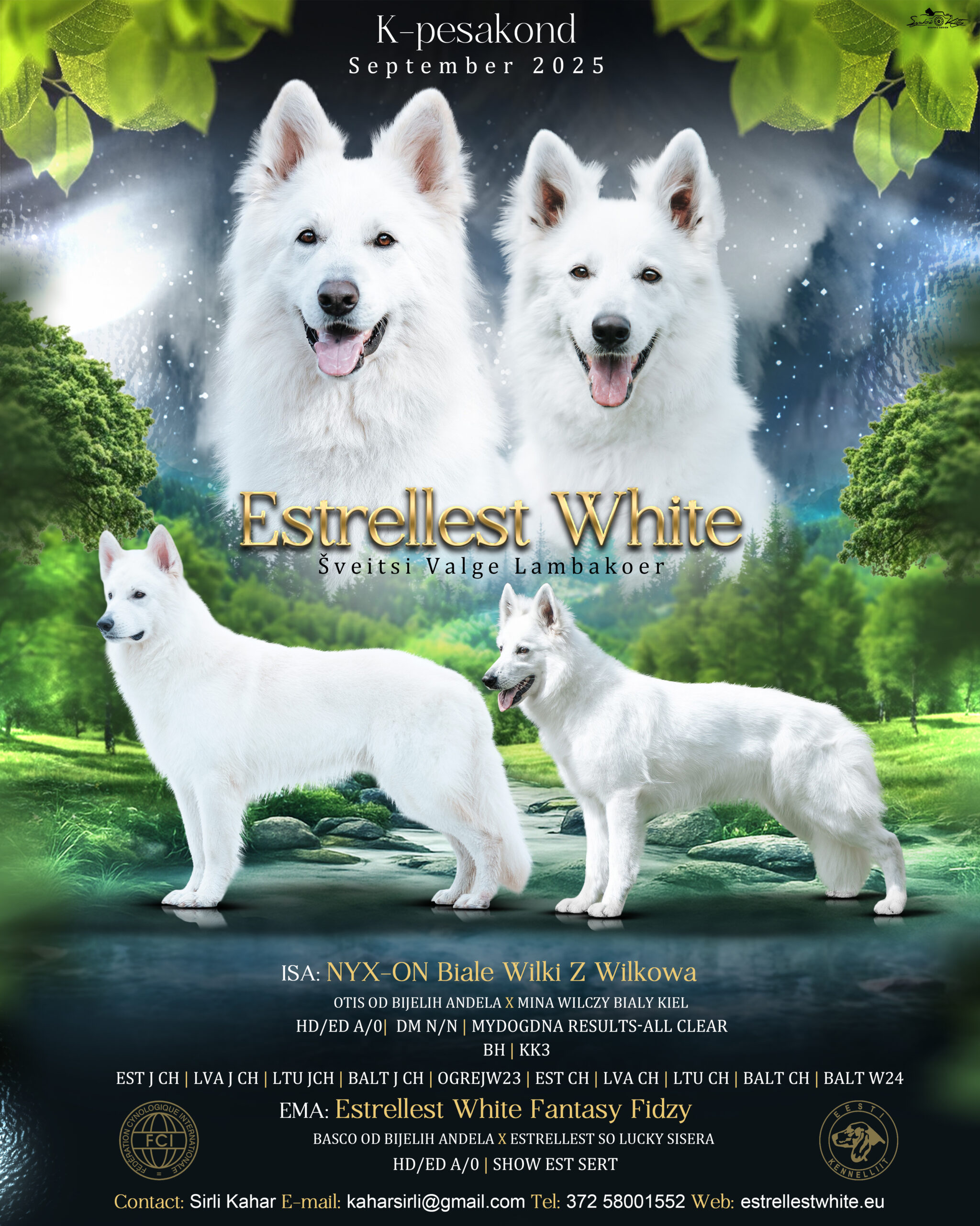 Estrellest White K-pesakond wlitterannoun0111