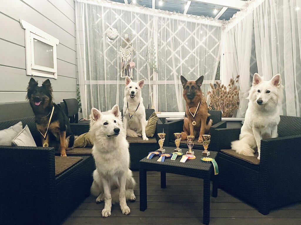 567718192 25255536434066238 5252957341325088183 n