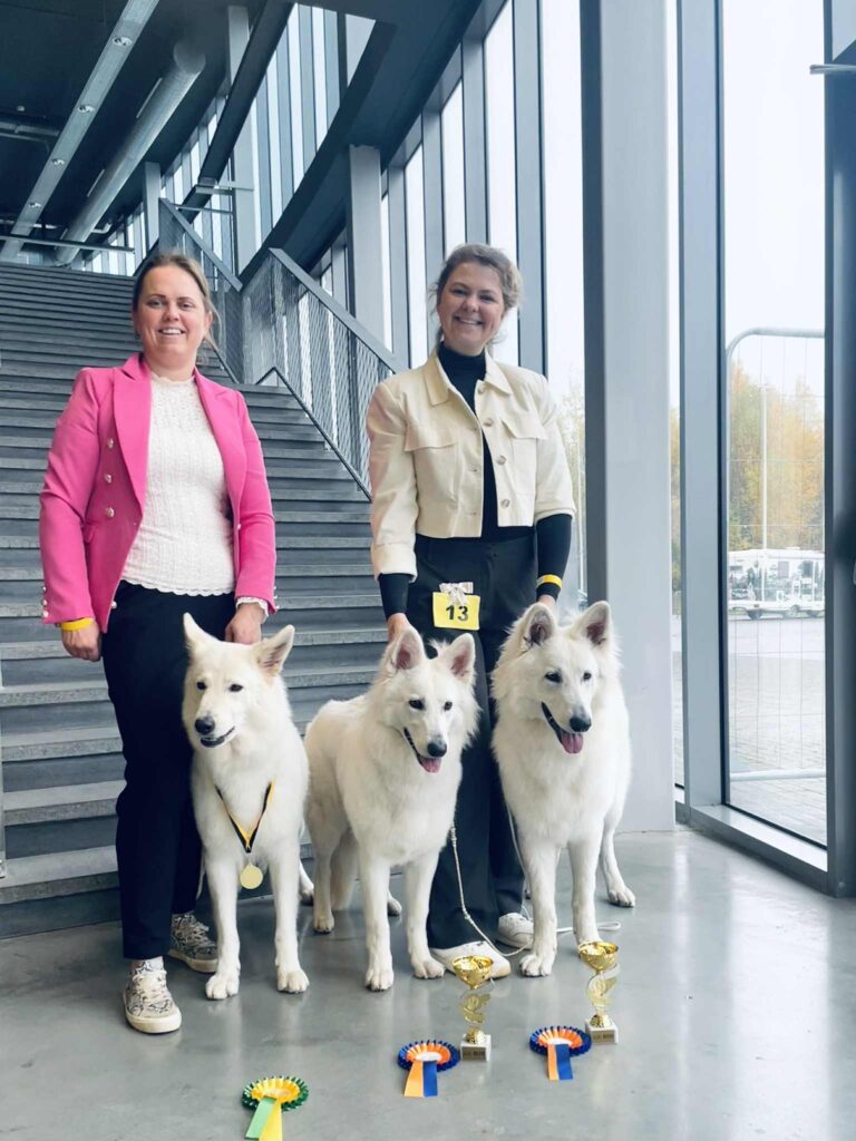 a1d0a057 e94c 4190 bd11 af817a2df9f3