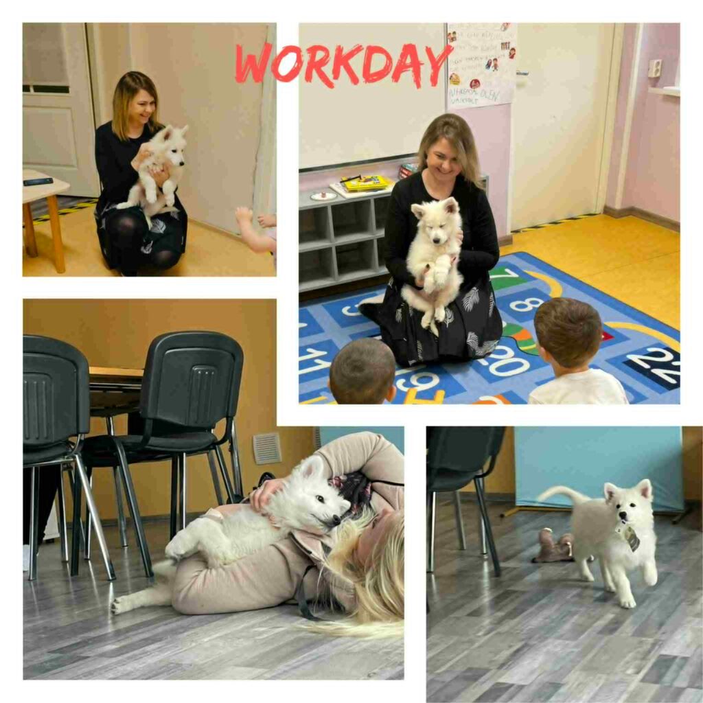 Estrellest White Kingdom Kaiser 