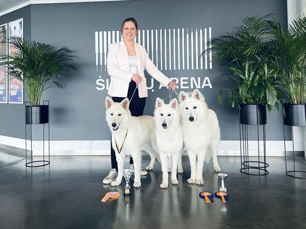 e156aae8 ae95 4d65 a9c9 1fe7daefab47