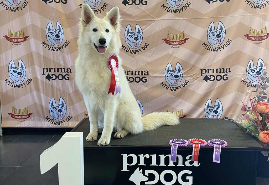 f5df350d daca 4769 acb0 bd3857958b7a