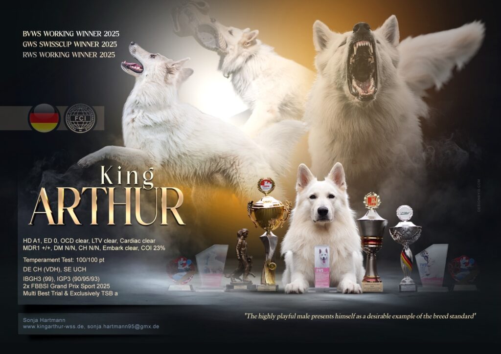 623152286 18361865053165080 8596319448586687192 n